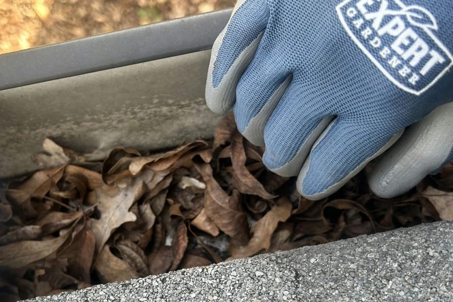 Gutter Cleaning Newberry FL