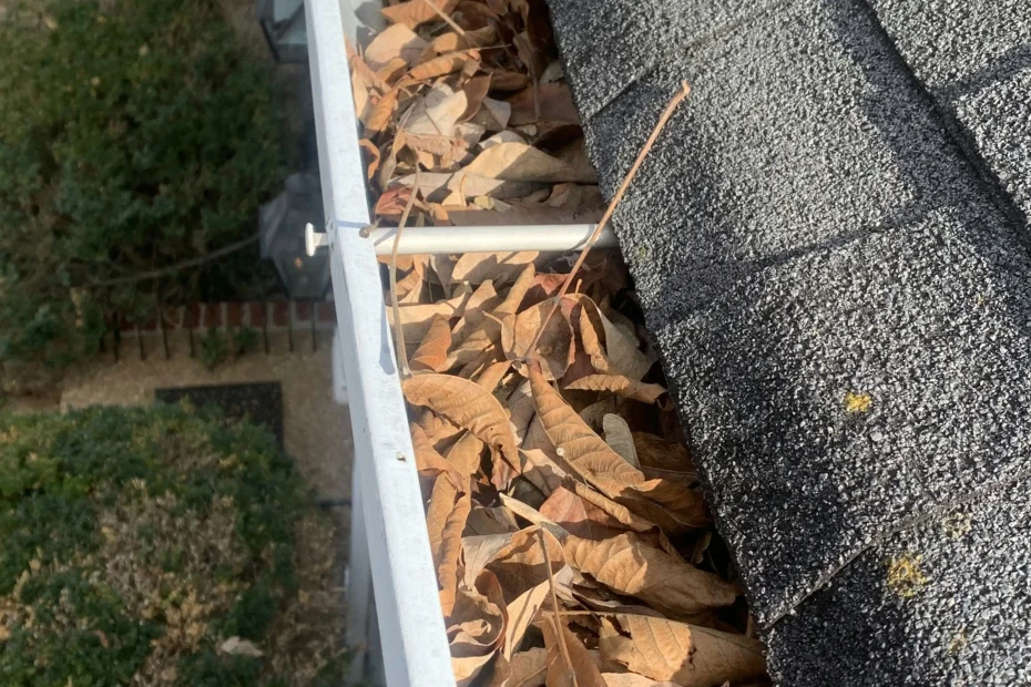 Gutter Cleaning Newberry FL