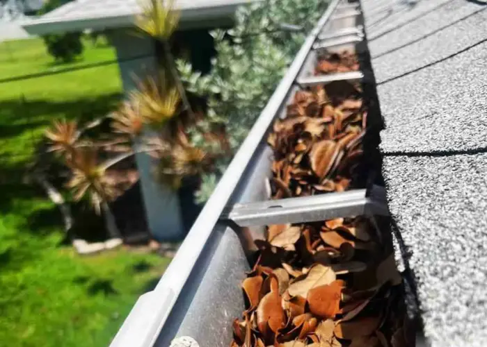 Gutter Cleaning Newberry FL home page